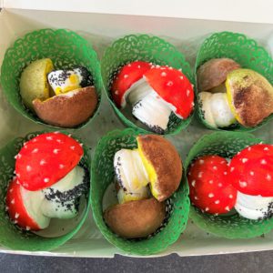 Mushrooms Small Gift Box