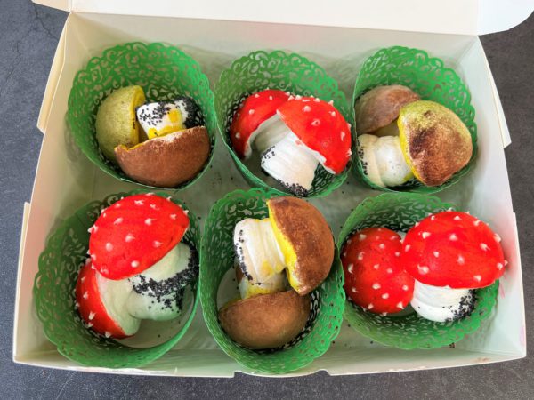 Mushrooms Small Gift Box